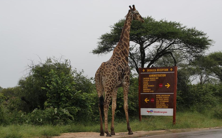 �����ش��Ϸ����Ұ�����ﱣ����