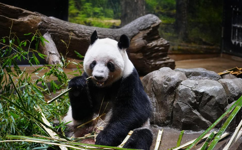 ����è���������͡����١�����27�մ��ձ��ع�