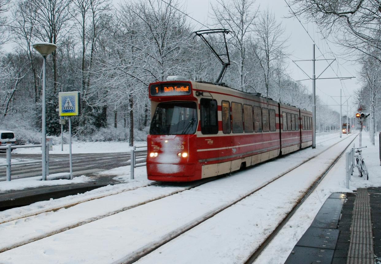 ����������ţ��Ⱦ������ ��Ϊ������������