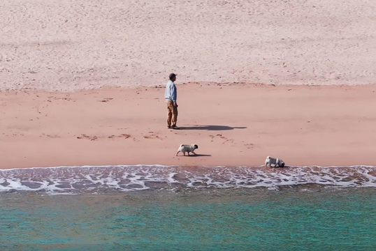 ��������������ݶ�ͷ������������