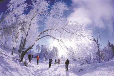 �����ѩ�� ������������