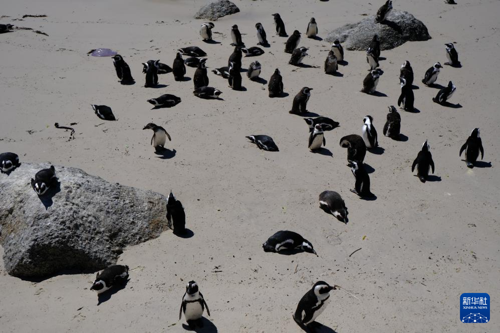 �ϷǼ��ȱ�Σ�ķ��������������������в