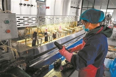 �Ƽ��������ĳ�ɽҩ������⻨������