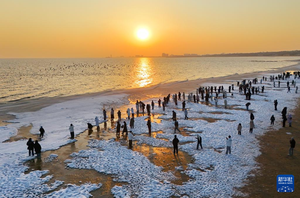 河北秦皇岛:海冰引客来