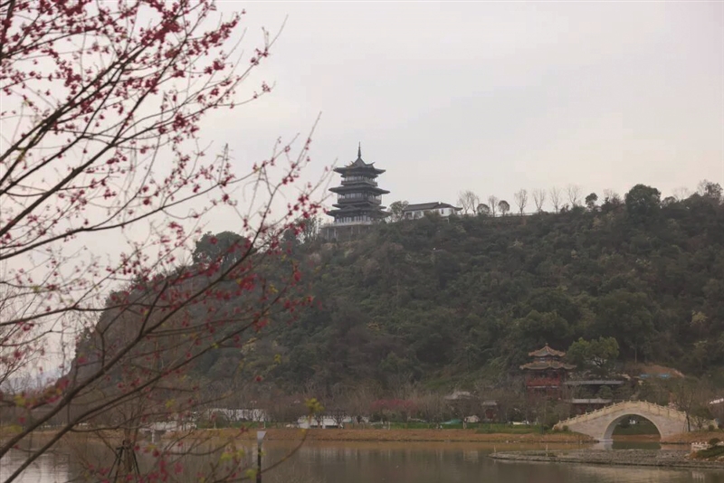 ����԰��԰����ι������Ԥ���� ���ɺ�Ϊ԰��԰��԰