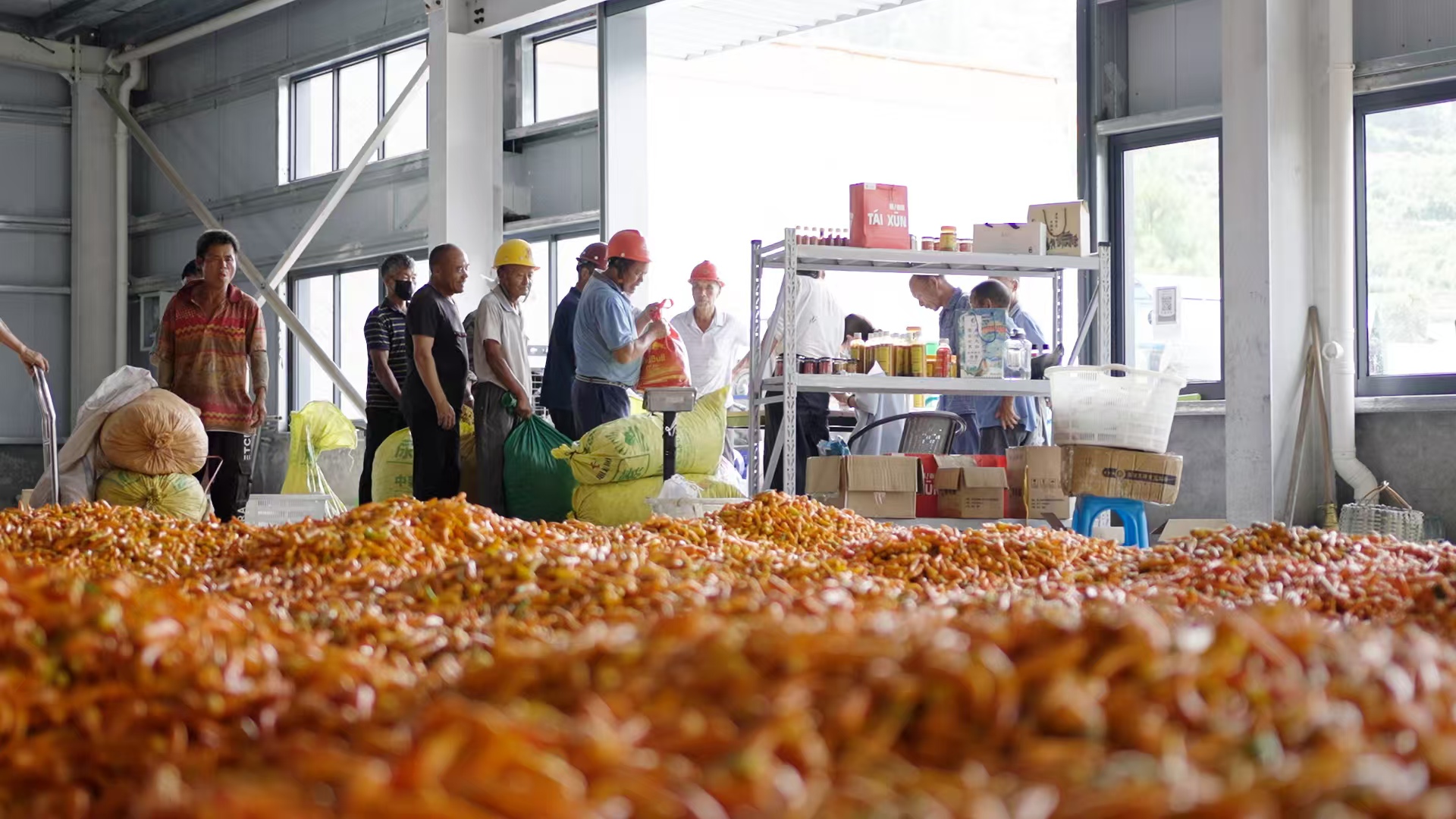 从灶台到云端 泰顺“辣宝宝”的火辣蜕变