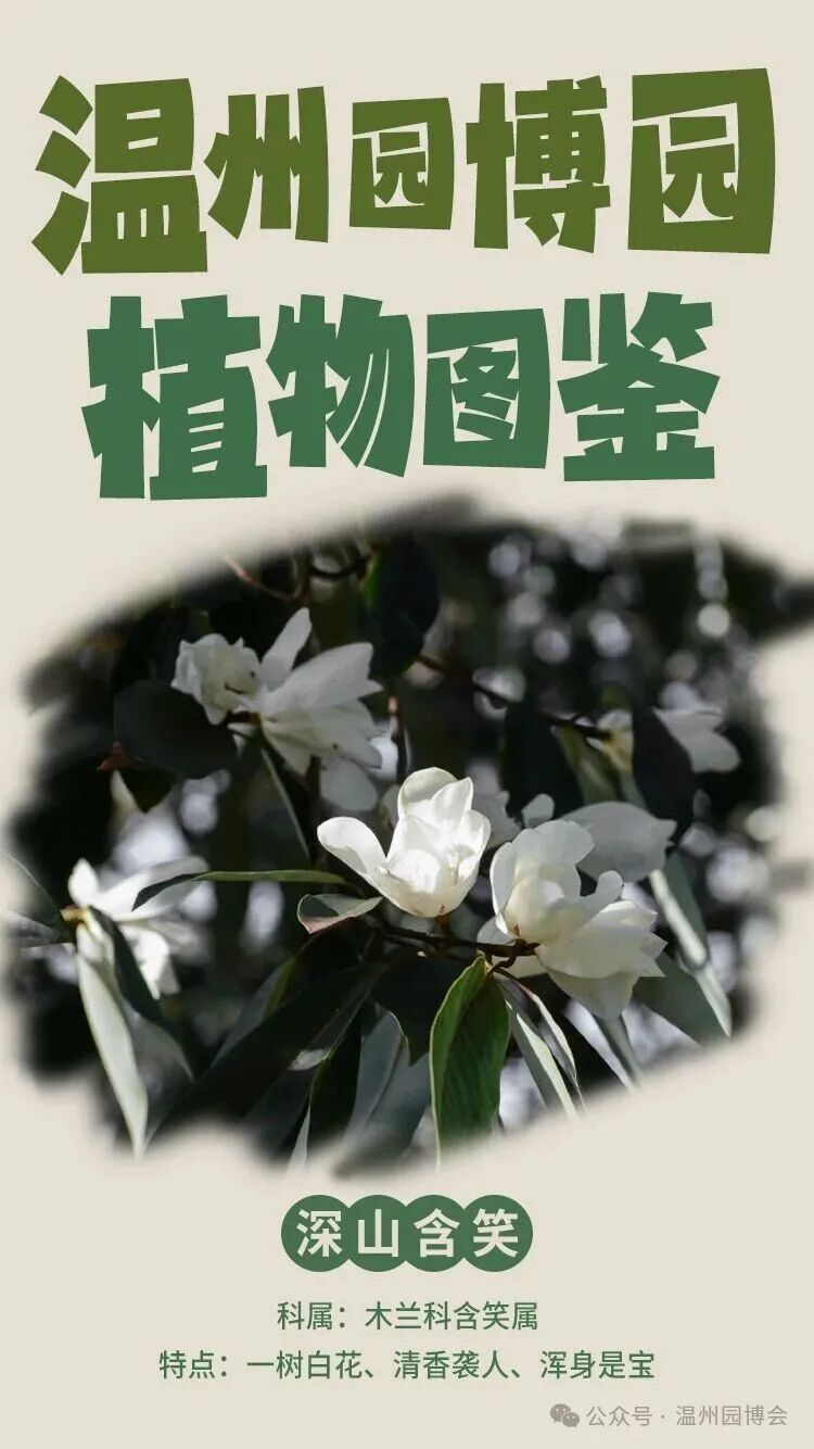 ����԰��԰ֲ��ͼ��ح�Ĺ��еġ��������ӡ�