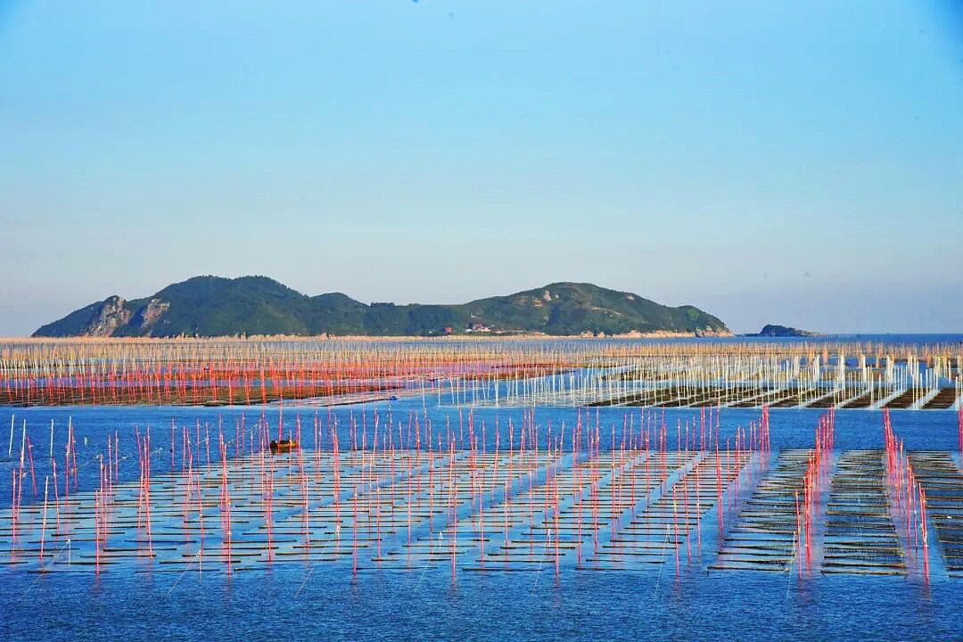 ʡ����֤������������壬�����¾��磡