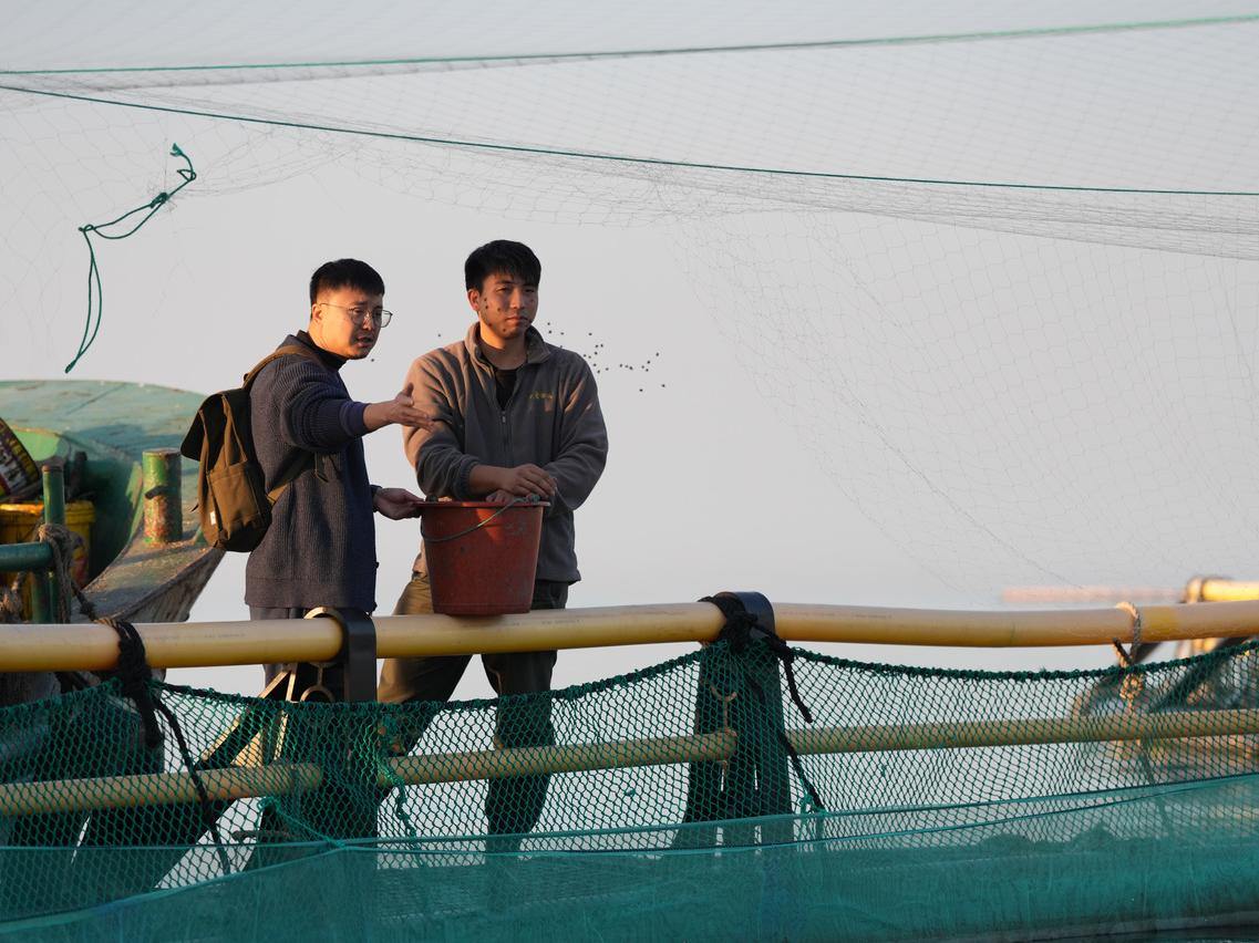 ���������䵺���򣬼��߸�����ֳ��Աһ�𵱡�����Ա��