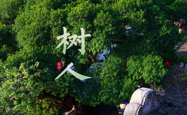 ��Ӱ���������������˵���������