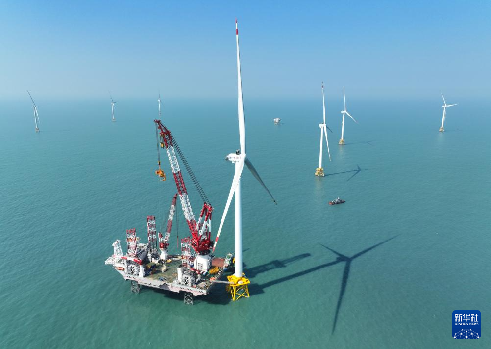 20���ߺ��Ϸ����������Ϻ���ɹ���������