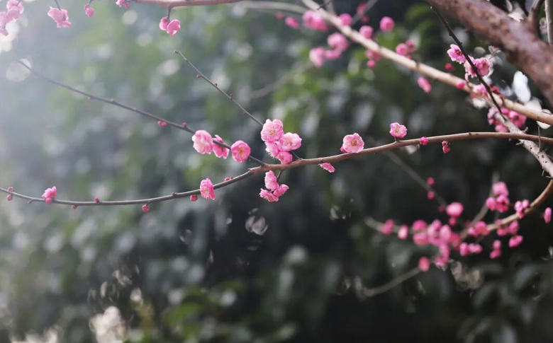 ��������÷������Լ����