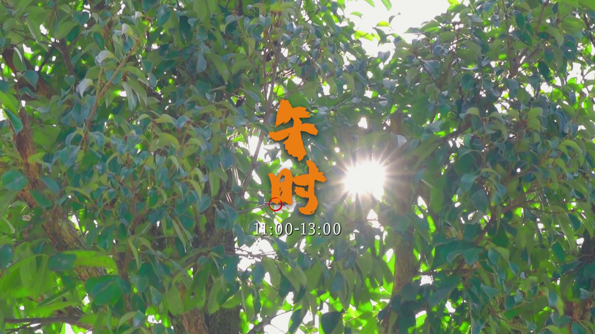 ����̩˳��˾ǰʮ��ʱ����ʳ�����