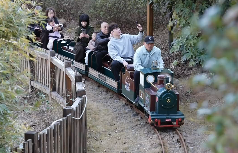 ̩˳��ô�棿����BA����������Ҷ��Խ��㱦���淨