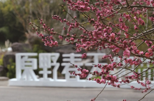 ԰�������ηֻ᳡�������ά�ȸ������� ��ԭҰ���족�³�������������