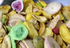 ��ҥѧ��NO.292ح���߶�������Ƕ��ɵ���