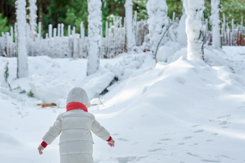 过年在家门口沉浸式玩雪!楠溪江新增一冰雪玩乐好去处