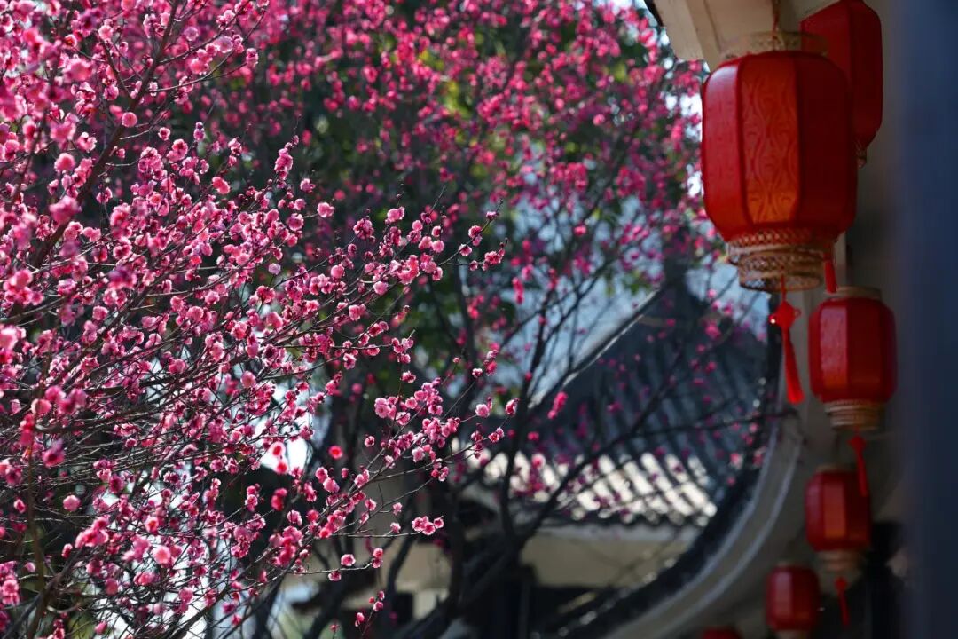 ������Щ��԰�������÷���ı��س�Ƭ��λ