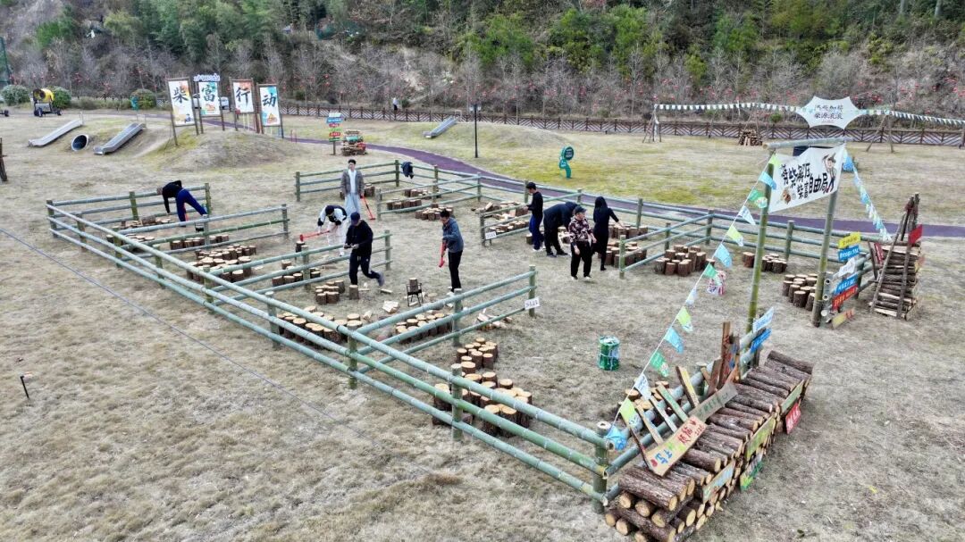 �´��߻�����ĳ�������˹������ο����������񡢶Ѹ�