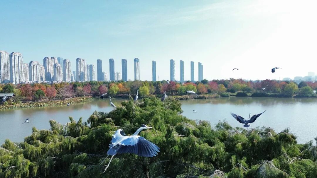 �������壺���硰�����֡� �ػ��������塱