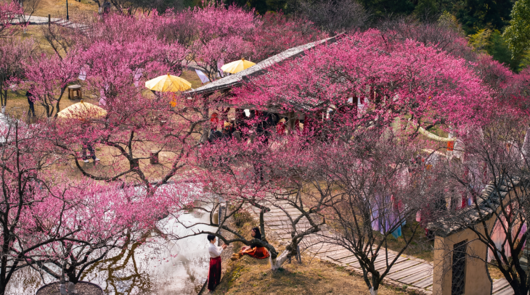 ÷����ʢ�����������Σ���һ���޶���������