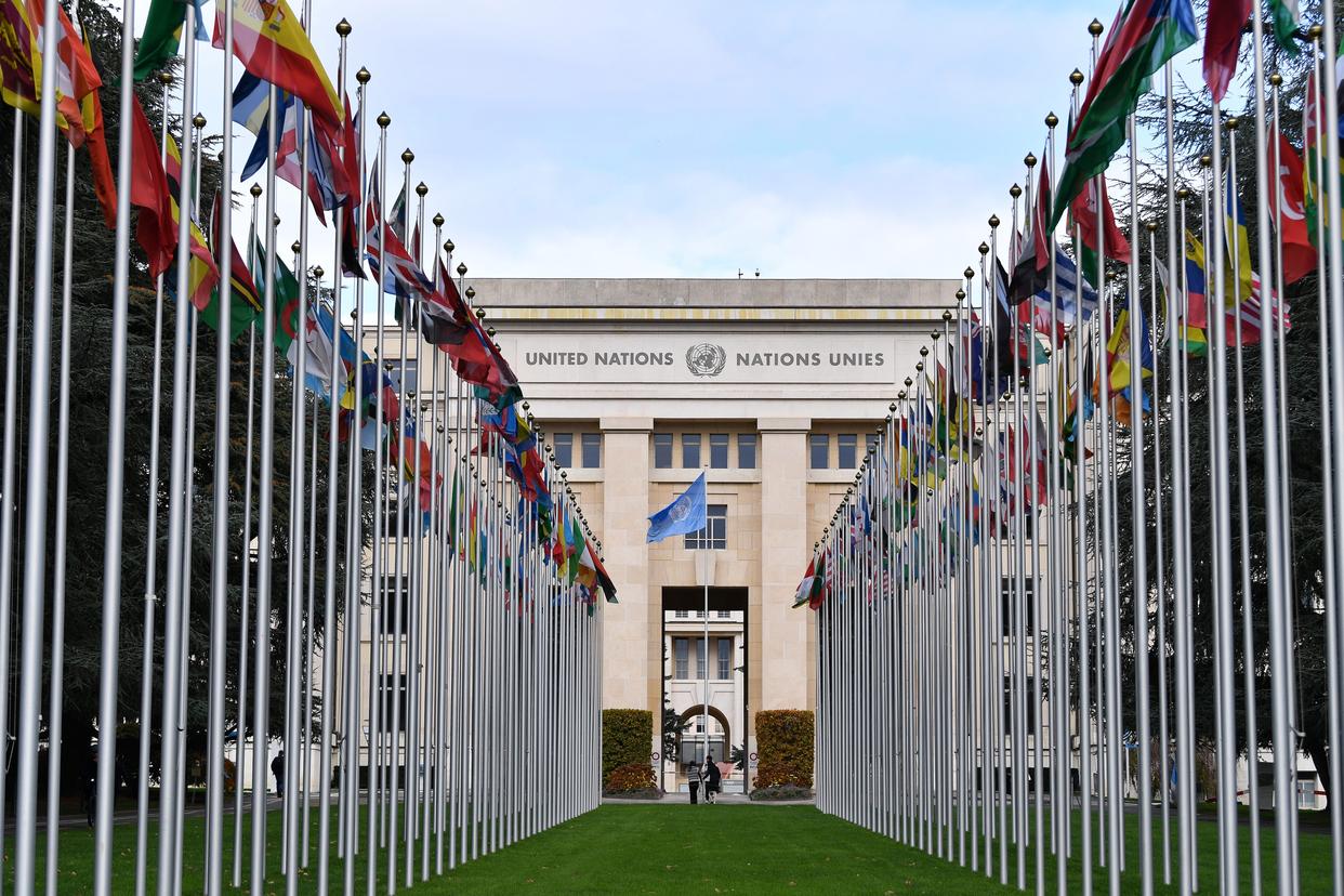 �۝�˹̹�����桰Σ������ Ӣ��(gu��)�ٲ��永����