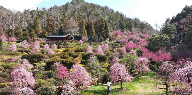 �������Σ����ʻ�������÷������Ȫ