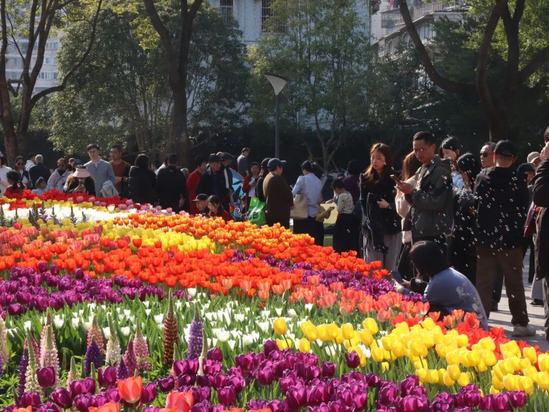 ���������ع飡�����ع�԰�����㻨չ����