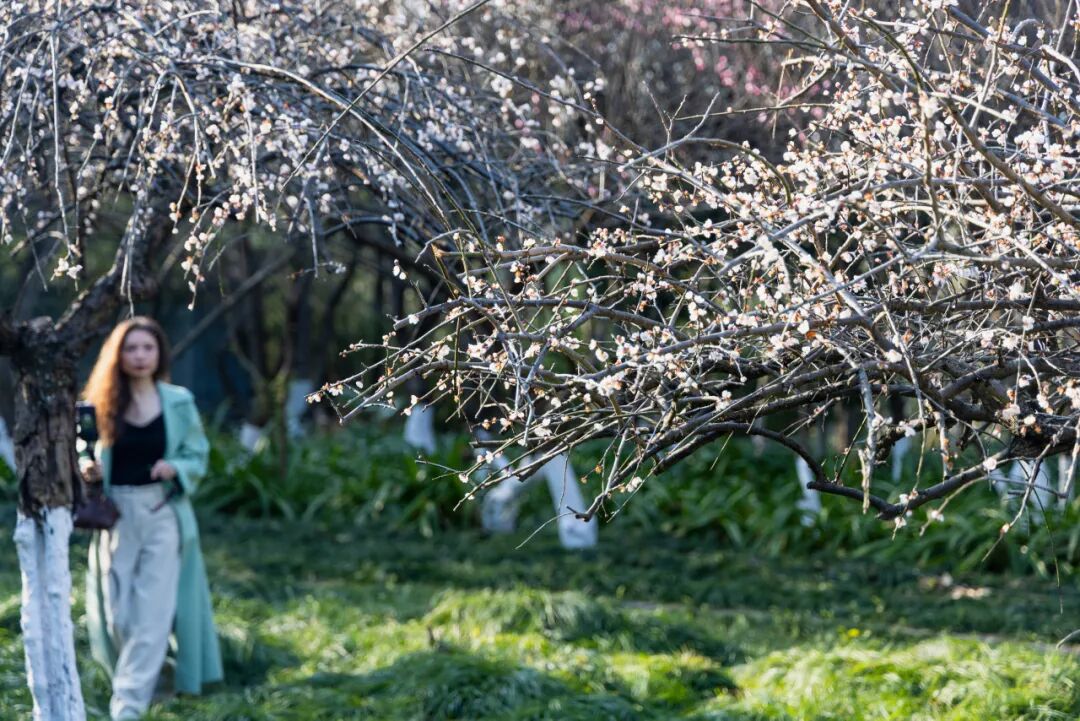 ��÷����ʱ�⣡����ʪ�ش��շ������������ߣ�