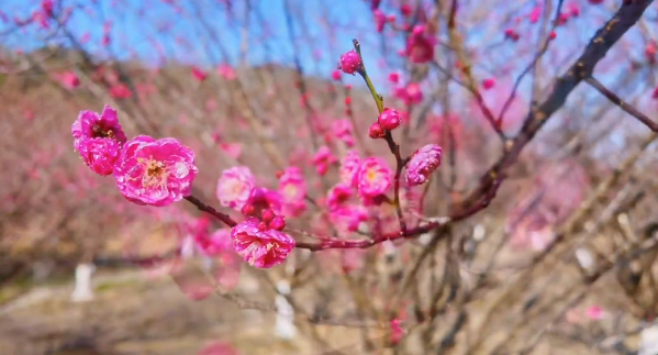 �������һ�죬����������ġ��������硱��