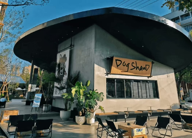 �ɳڸ����������崺���½��򿨵أ���Ҷ���ȥ