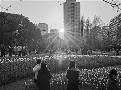 �����´����ˡ������������Ͻ֡���������԰��˺����ֲ�ͣ