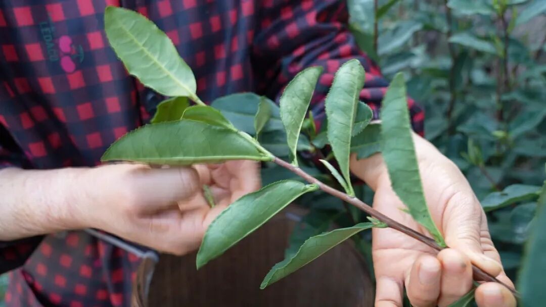 ��������㣡���㽭��һ�硱��ţ��迪ժ