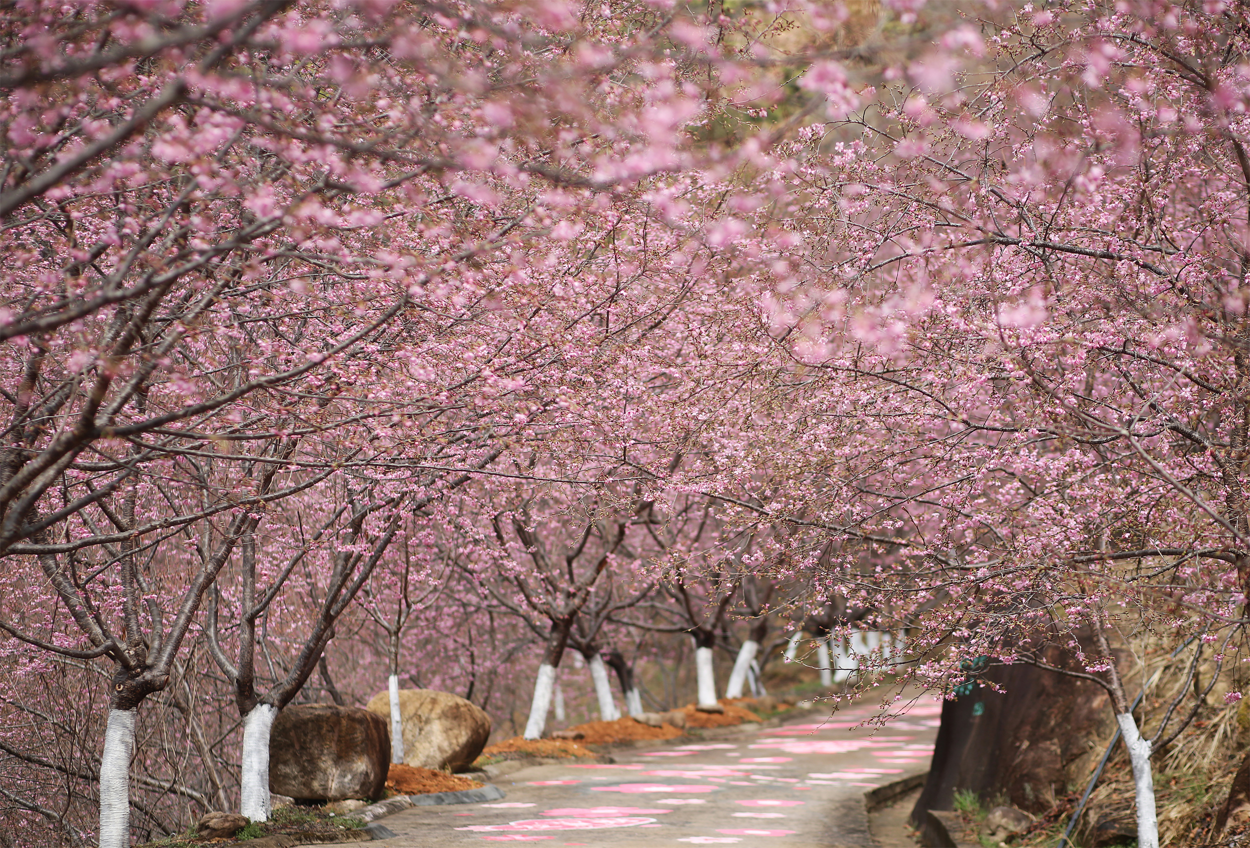 ���λ�������Ũ����ӣ����ʱ��