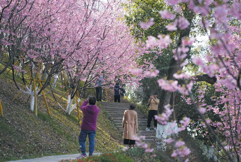 ӣ��ӭ������ ����������Լ