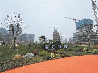 �������ȿ����ˣ����ݶ���������Ʈ����