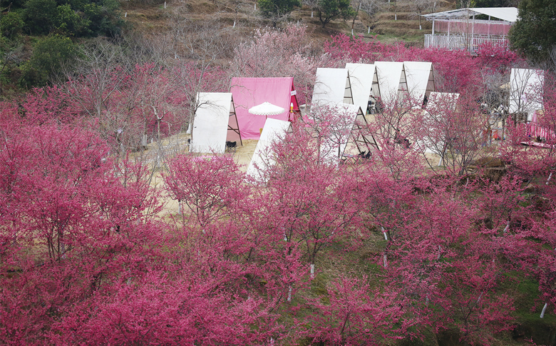 ��������Ũ ��ӣ����ʱ