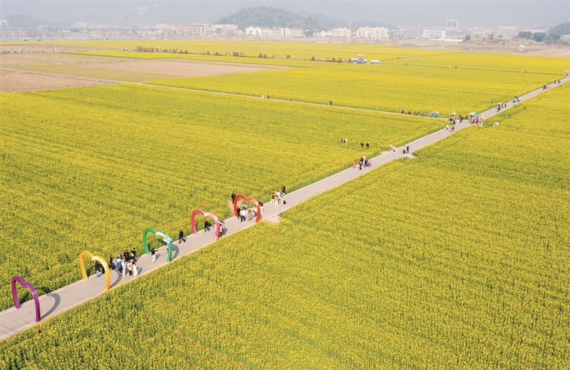 �����������ţ����ݡ��������Ͳ˻�������