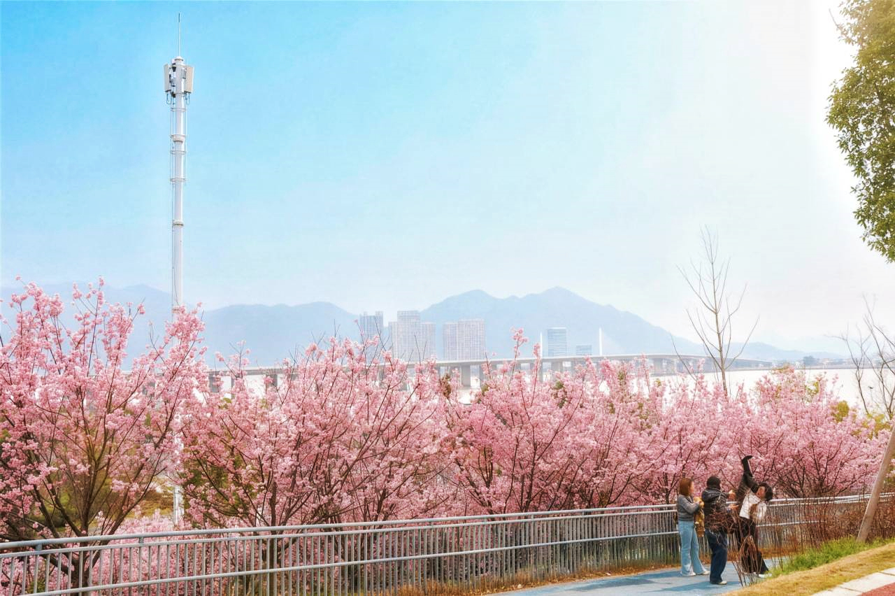 ���˴����޶�������¹����Ƭ��ӣ����ӭ����ѹ�����