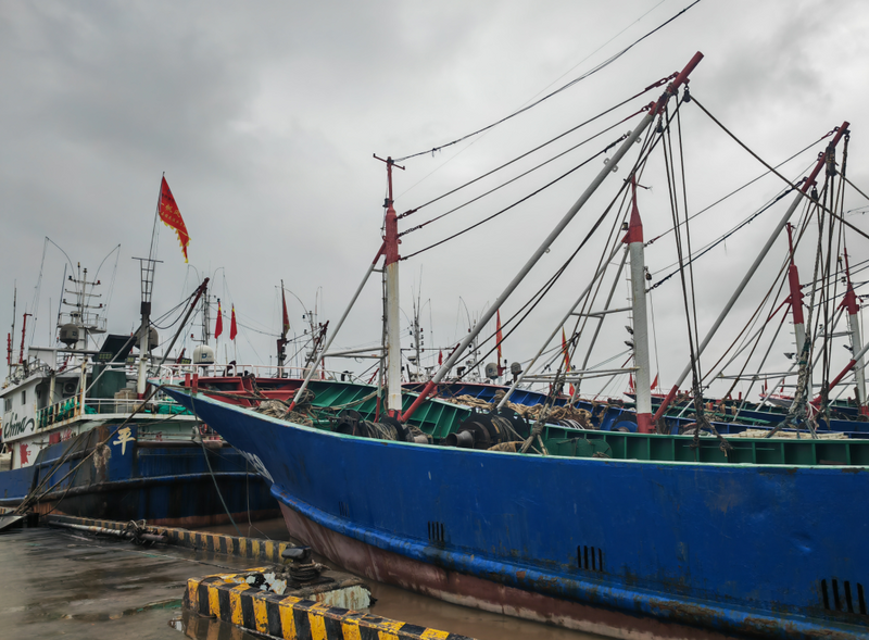 �ػ��������㡱��3��1���������������������桱