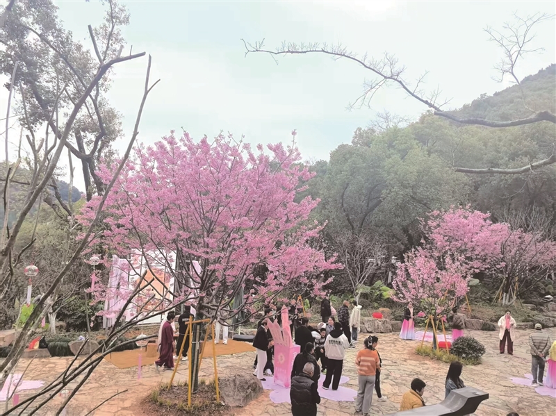 ��ɽӣ���Ļ�����Ļ ��ӣʢ��ӭ԰��ʢ��