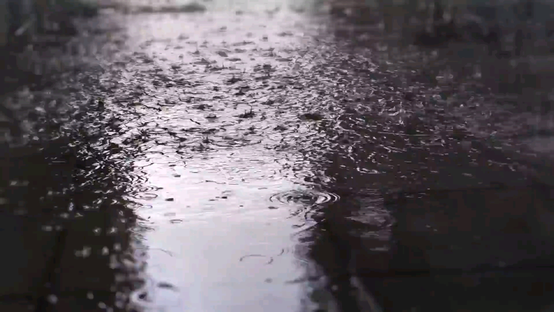 ��������С���� �����꼾��ߵ��