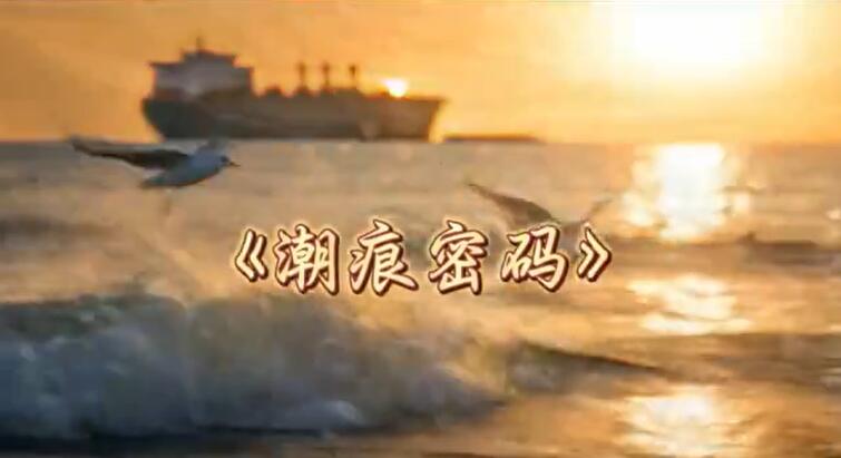 AI��Ƶ�����������롷