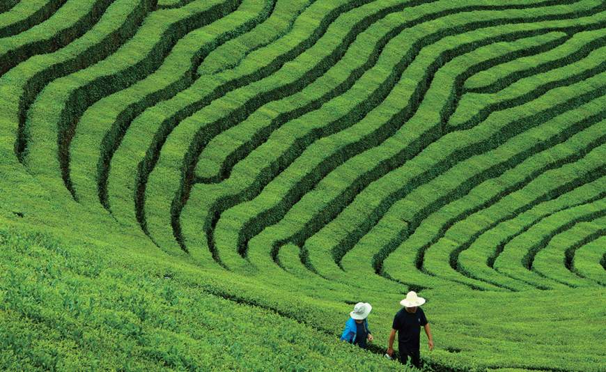 ��̩혲�a(ch��n)�I(y��)��ʮ��ͻ��