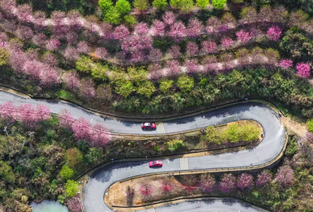 ��ͩ����Ѹ�(j��ng)��ʢ��������