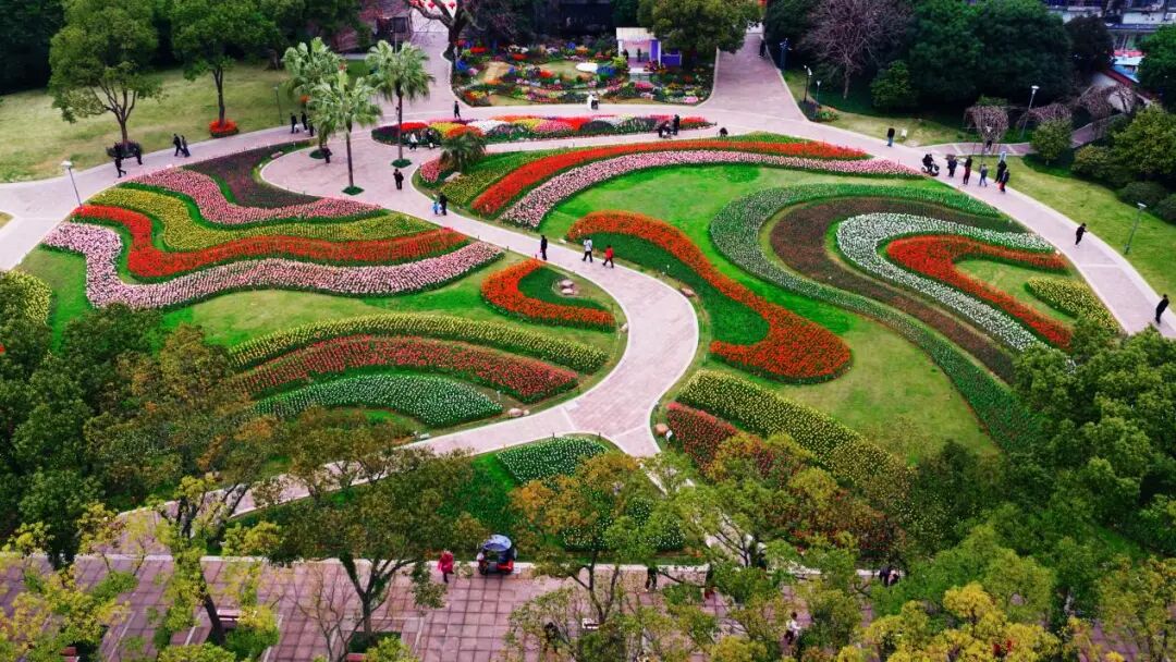 ���������ع�԰�����㻨չ��Ļ�������򿨣�