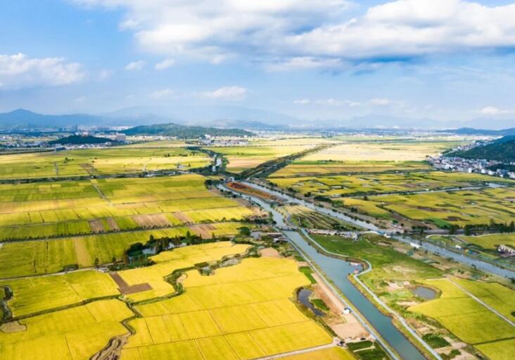 ���԰�ַֻ᳡