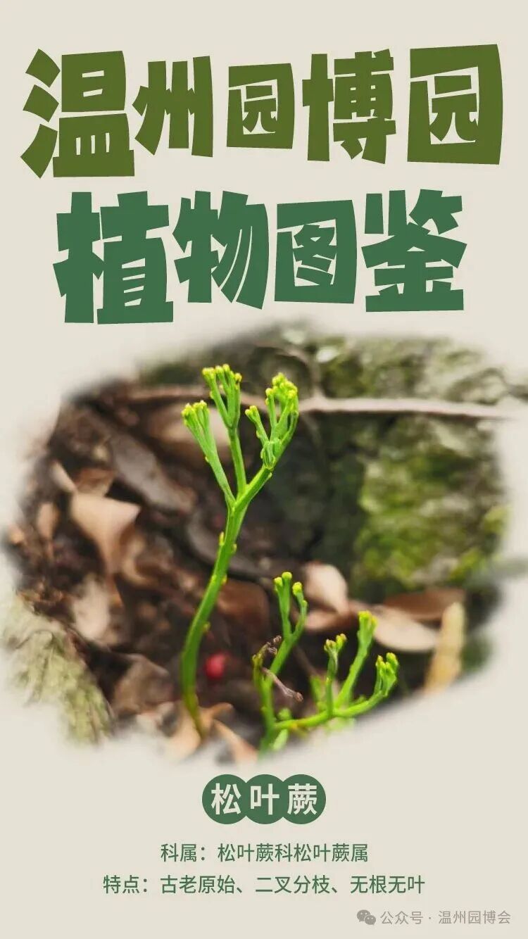 �Ҵ�������ǰ����