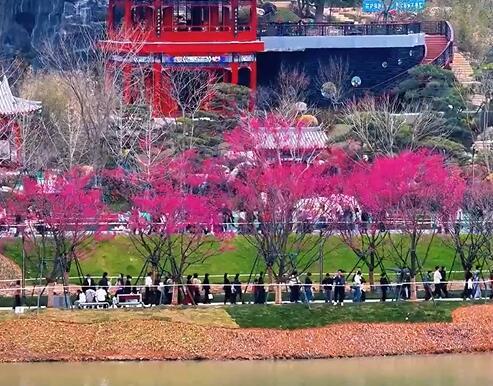 �Ҿ�ͷ�е�԰��| ÿһ֡���������������뻭����