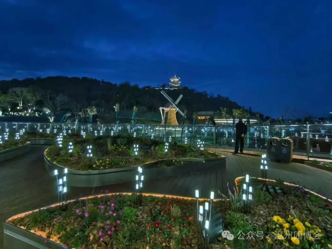 ��ֵ������԰����Щ����Ƭ��̫������